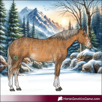 Horse Color:Palomino Splash  and Chocolate Palomino Rabicano 