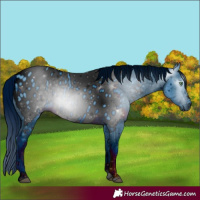 Horse Color:ERROR: UNKNOWN ANOMALY