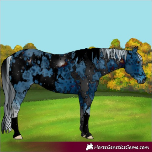 Horse Color:ERROR: UNKNOWN ANOMALY