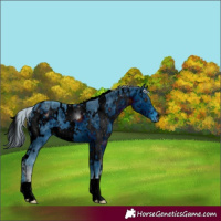 Horse Color:ERROR: UNKNOWN ANOMALY