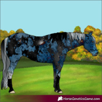 Horse Color:ERROR: UNKNOWN ANOMALY