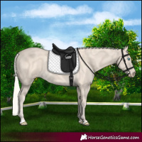 Horse Color:Cremello 