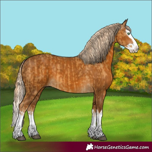 Horse Color:Palomino Splash  and Gray Palomino Splash 