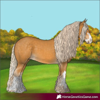 Horse Color:Palomino Splash and Palomino Splash