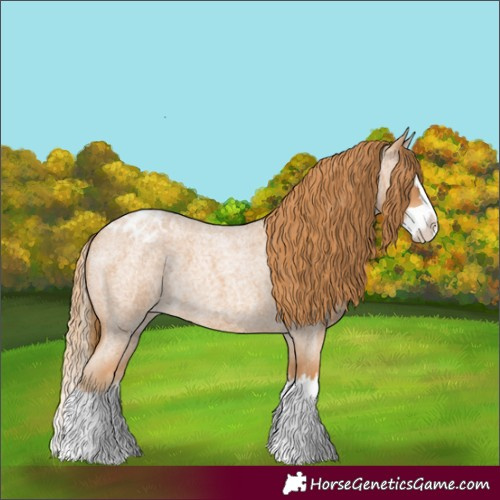 Horse Color:Red Roan Splash Blanket