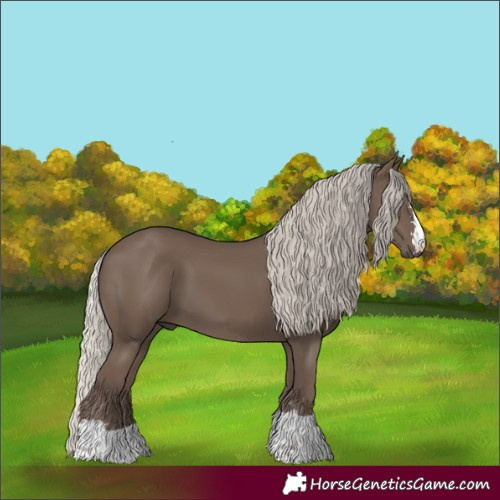 Horse Color:Silver Black 