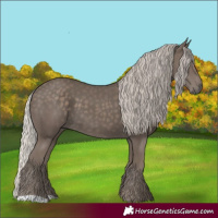 Horse Color:Silver Black 