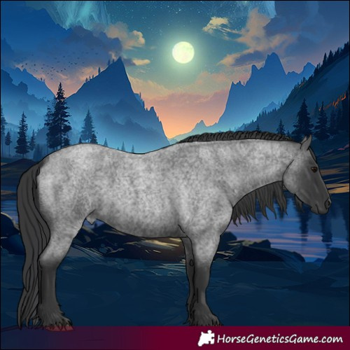 Horse Color:Blue Roan
