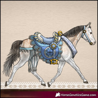 Horse Color:White Spotted Bay Dun Splash  and White Spotted Buckskin Dun Splash 