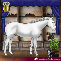 Horse Color:Platinum Liver Red Roan Splash Snowflake Varnish