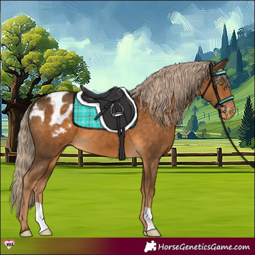 Horse Color:Chocolate Palomino Varnish 