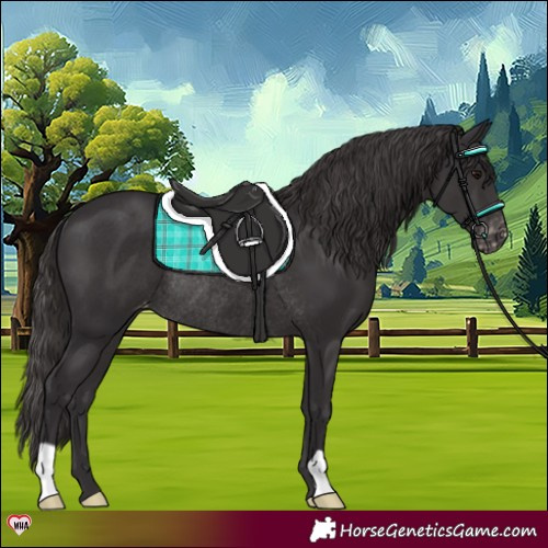 Horse Color:Smoky Black Varnish Rabicano 