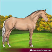 Horse Color:Silver Amber Champagne 