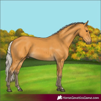 Horse Color:Silver Buckskin 