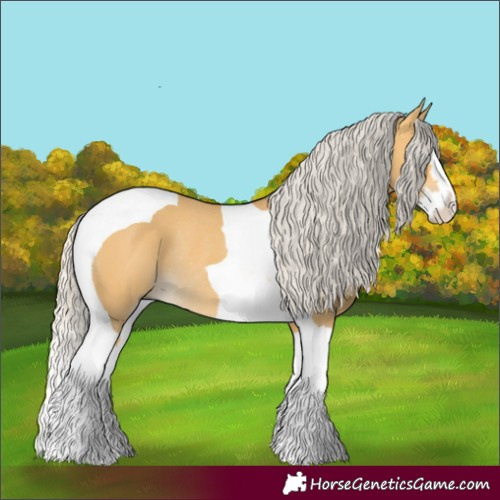 Horse Color:Silver Buckskin Dun Splash Tobiano Rabicano 