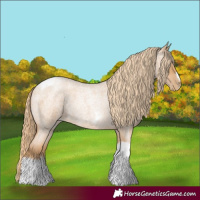 Horse Color:Red Roan Pearl Tobiano Frame