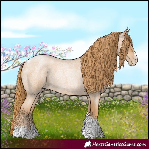 Horse Color:Red Roan Pearl Tobiano Frame 