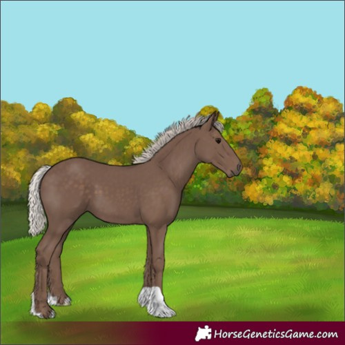 Horse Color:Silver Black