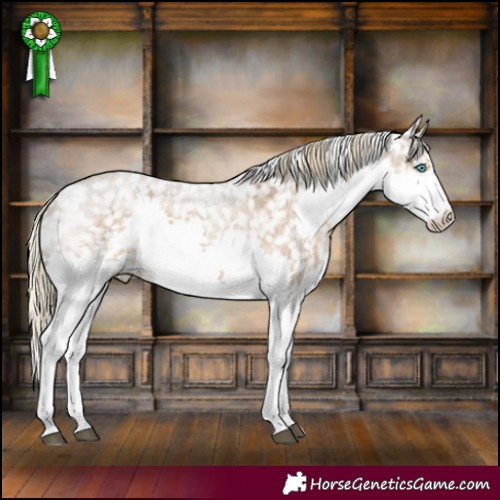 Horse Color:Chocolate Palomino Roan Splash Snowflake Varnish