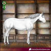 Horse Color:Chocolate Palomino Roan Splash Snowflake Varnish