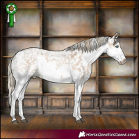 Horse Color:Chocolate Palomino Roan Splash Snowflake Varnish
