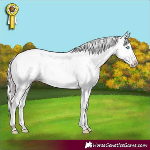 Horse Color:Silver Buckskin Roan Splash Snowflake Varnish