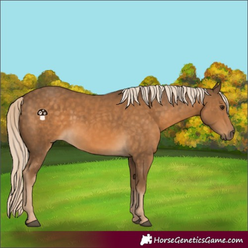 Horse Color:Chocolate Palomino 