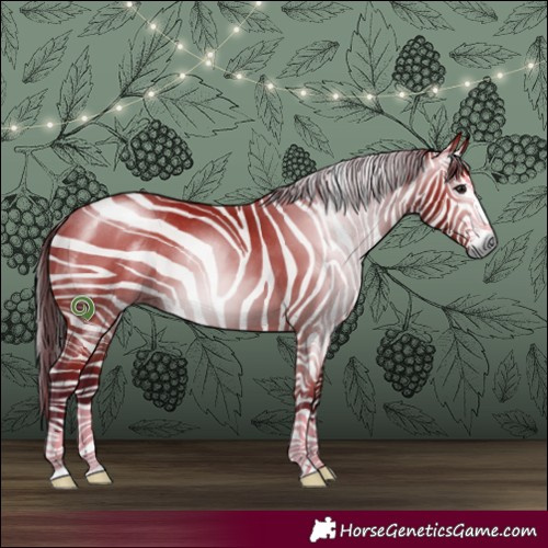 Horse Color:Gray Bay 