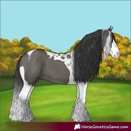 Horse Color:Grullo Splash Tobiano 