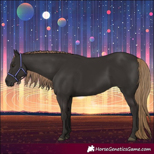 Horse Color:White Spotted Liver Chestnut 