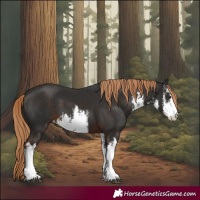 Horse Color:White Spotted Liver Chestnut 