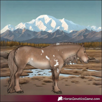 Horse Color:White Spotted Liver Red Dun Rabicano 