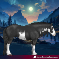 Horse Color:White Spotted Liver Chestnut 