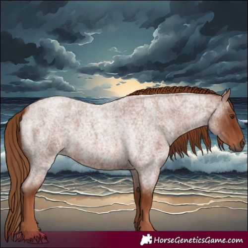 Horse Color:Red Roan 