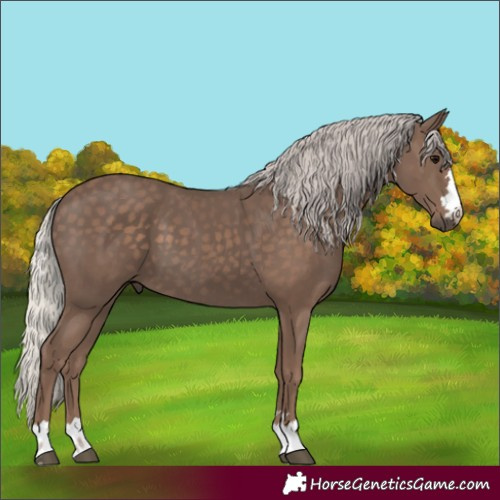 Horse Color:Unknown 