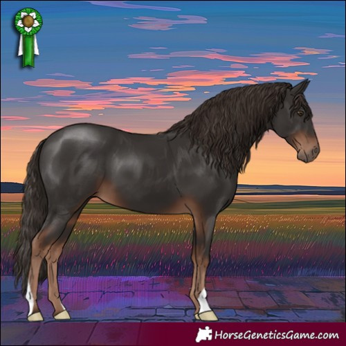 Horse Color:Liver Chestnut 
