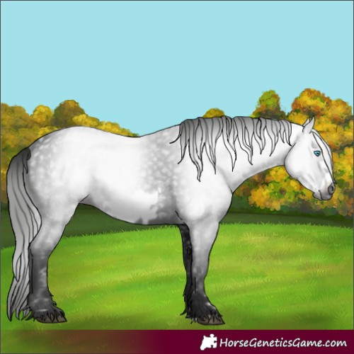 Horse Color:Gray Black Frame