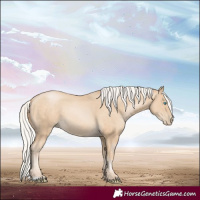 Horse Color:Silver Buckskin Pearl 