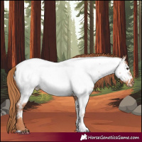 Horse Color:Red Roan Near Fewspot 