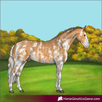 Horse Color:Silver Buckskin Sabino Splash