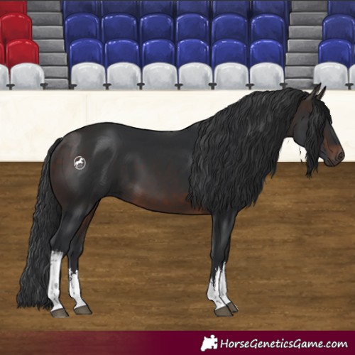 Horse Color:White Spotted Brown 