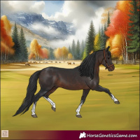 Horse Color:White Spotted Brown