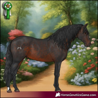 Horse Color:Brown 