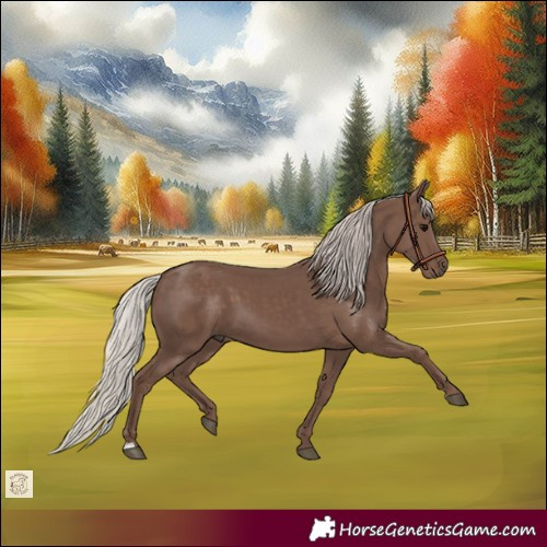 Horse Color:Silver Black 