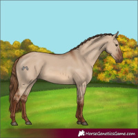 Horse Color:Red Dun 