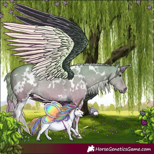 Horse Color:White Spotted Palomino Dun 