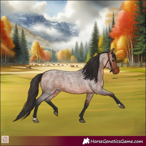 Horse Color:Bay Roan 