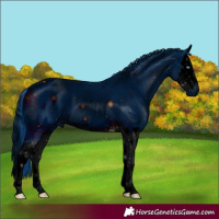 Horse Color:ERROR: UNKNOWN ANOMALY