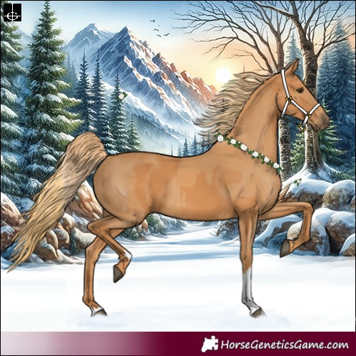 Horse Color:Chestnut  and Chestnut 