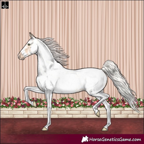 Horse Color:Silver Amber Champagne Roan Dun Splash Tobiano Frame Appaloosa Rabicano 